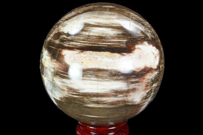 Petrified Wood Sphere - Madagascar #98462